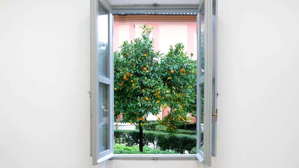 Image 8 of the gallery