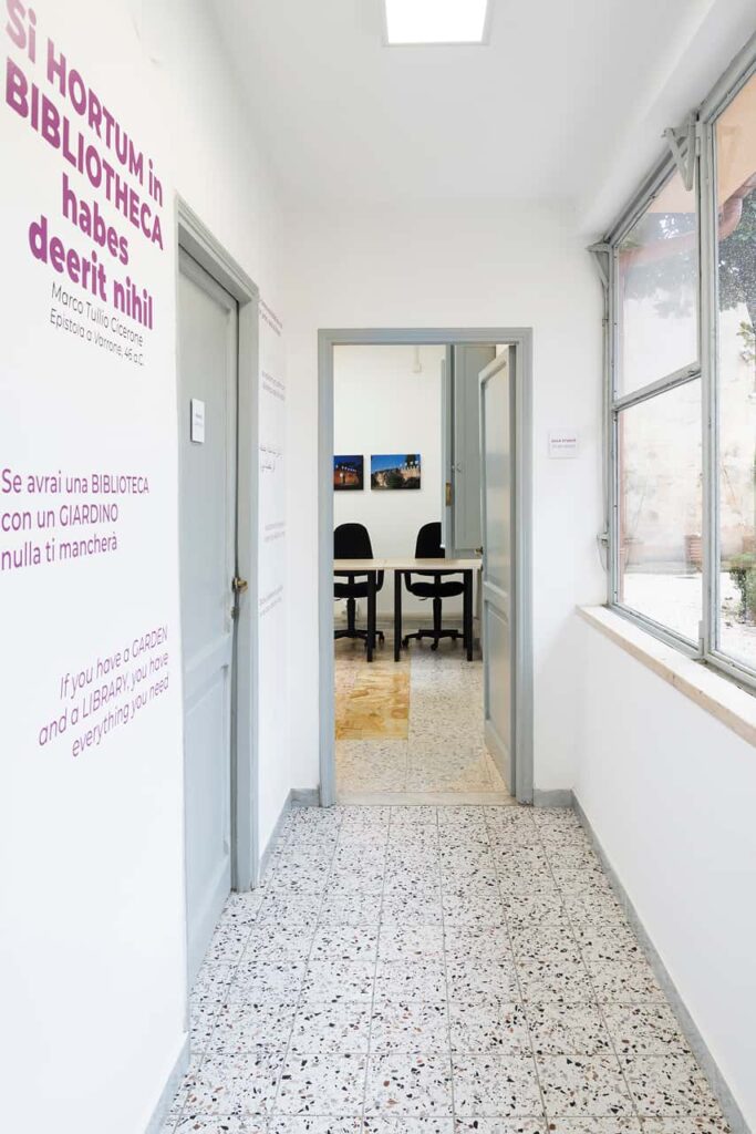 Image 12 of the gallery