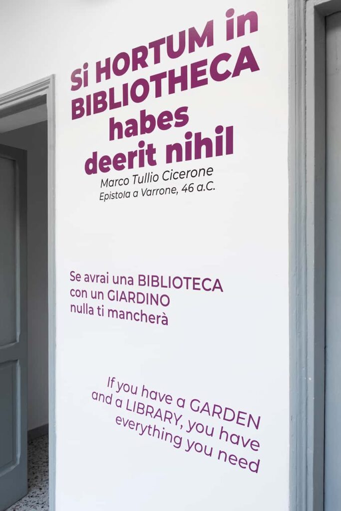 Image 11 of the gallery