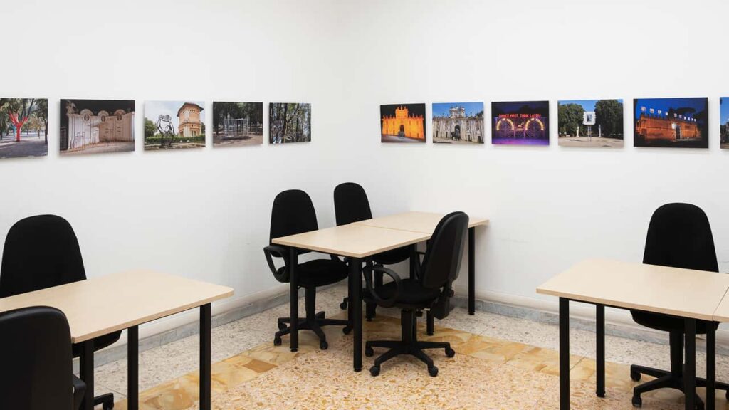 Image 5 of the gallery