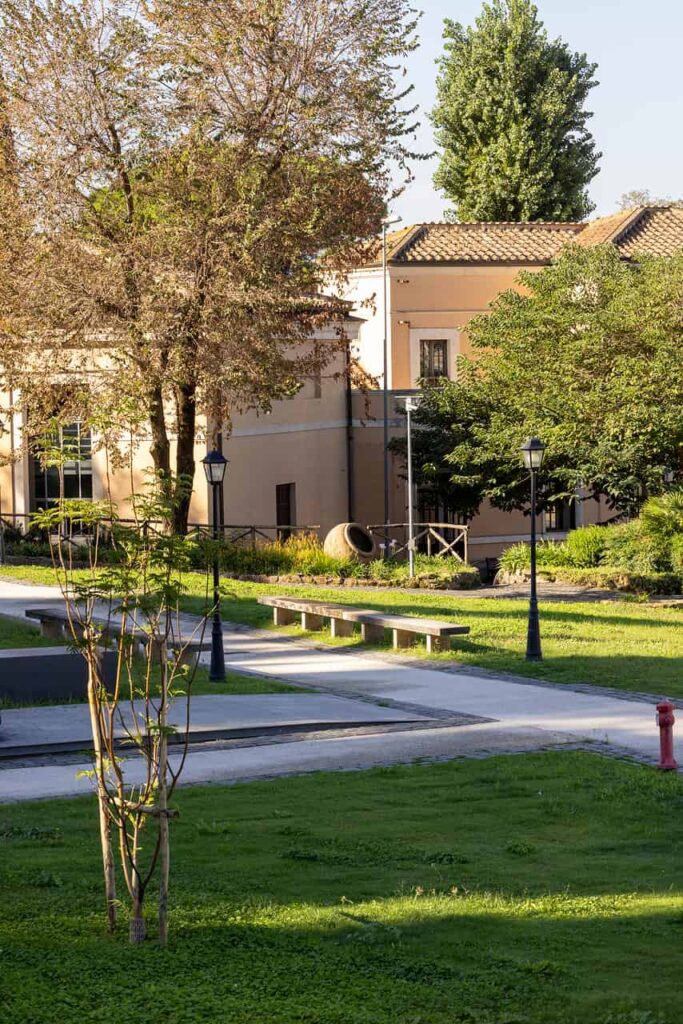 Image 14 of the gallery