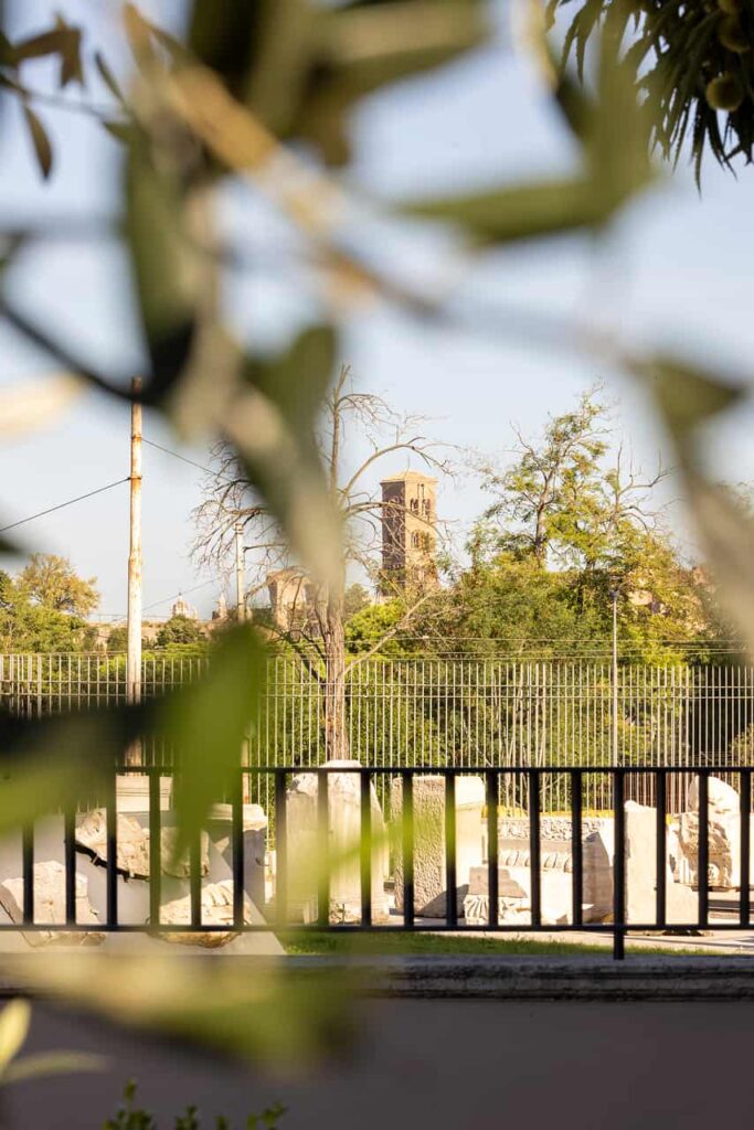 Image 12 of the gallery