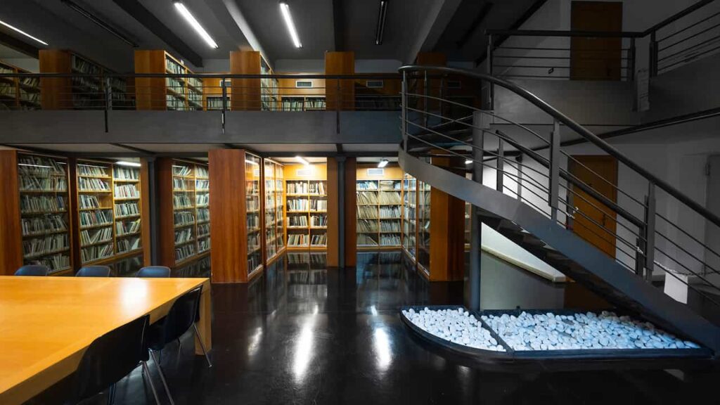 Image 5 of the gallery