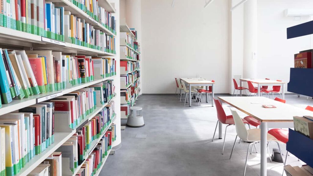 Image 11 of the gallery