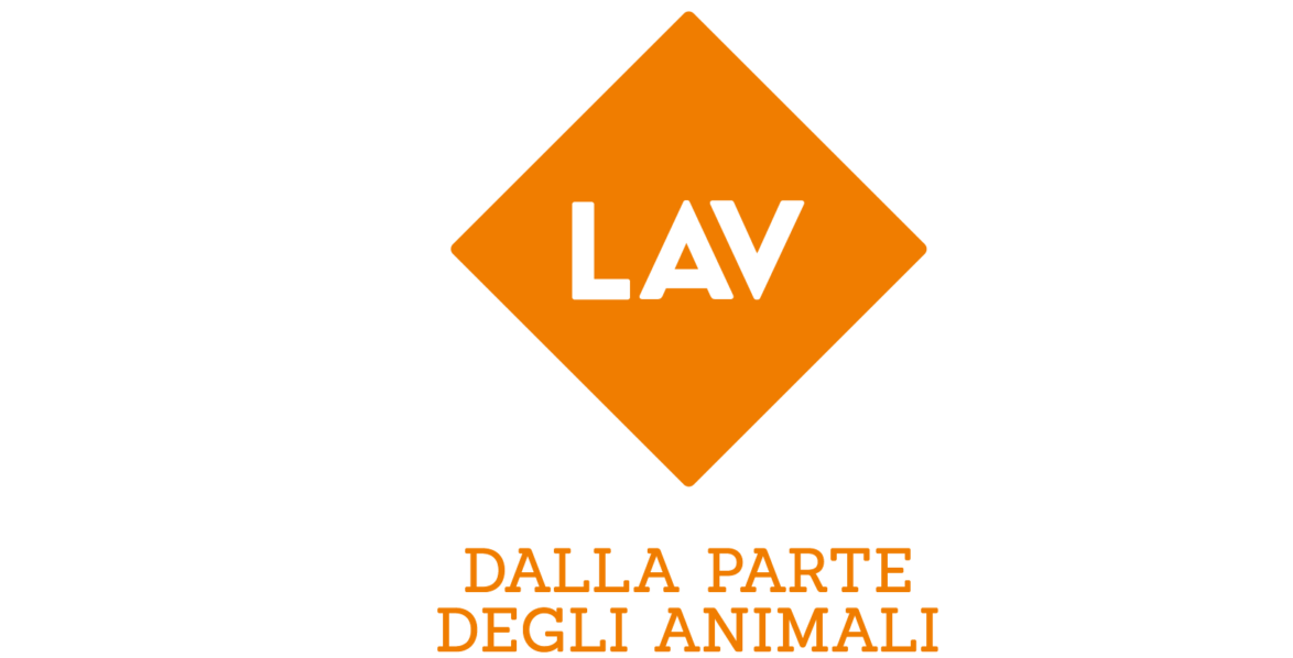 Logo LAV