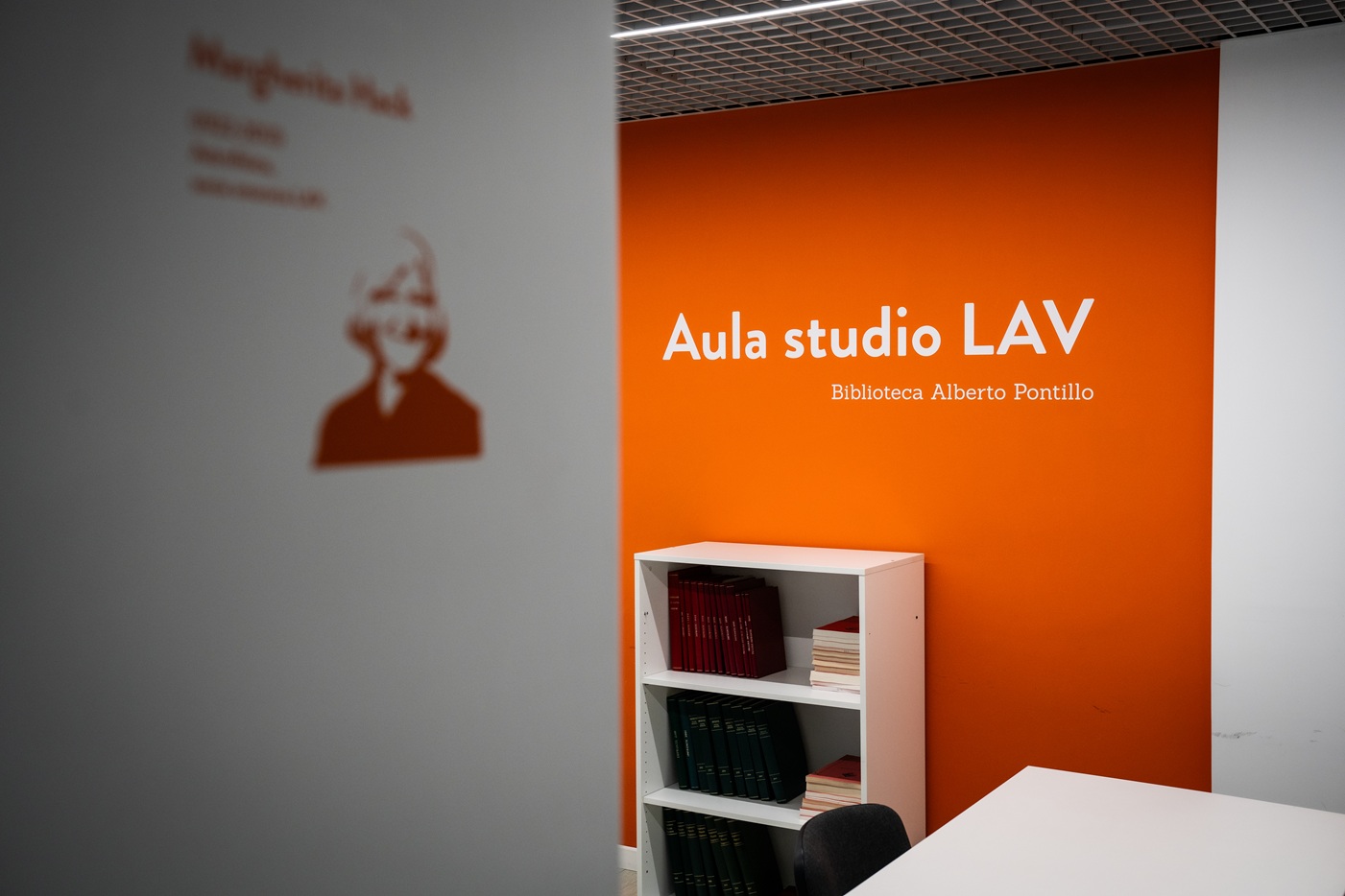 Immagine di LAV